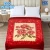 Eco Cloudy 2 Ply Double Bed Embossed Blanket HBK Blankets