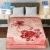 Eco Cloudy 2 Ply Double Bed Embossed Blanket HBK Blankets