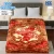 Eco Cloudy 2 Ply Double Bed Embossed Blanket HBK Blankets