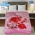 Eco Cloudy 2 Ply Double Bed Embossed Blanket HBK Blankets
