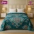 GOLDEN DREAM CLOUDY Flannel ( RBP ) 1 Ply Double Bed Emb Blanket