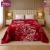 GOLDEN DREAM CLOUDY Flannel ( RBP ) 1 Ply Double Bed Emb Blanket