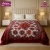 GOLDEN DREAM CLOUDY Flannel ( RBP ) 1 Ply Double Bed Emb Blanket