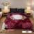 SKY KING CLOUDY DOUBLE BED 2 PLY BLANKET  4.75kg  ( 220 X 240 ) RBP
