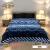 SKY KING CLOUDY DOUBLE BED 2 PLY BLANKET  4.75kg  ( 220 X 240 ) RBP