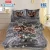 Super Cloudy Embossed 4Pcs Bed Cover Set with 2 Ply Blanket HBK