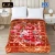 Super Select 2 Ply Double Bed Embossed Blanket 6 pcs HBK, 4.20kg, 200 x 240 CMS