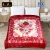 Super Select 2 Ply Double Bed Embossed Blanket 6 pcs HBK, 4.20kg, 200 x 240 CMS