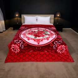 SKY KING CLOUDY DOUBLE BED 2 PLY BLANKET  4.75kg  ( 220 X 240 ) RBP